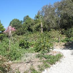 AmiraAlsarraf's profile picture. 