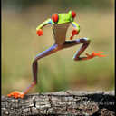 Scotsman - @dwain_scott2012 - Twitter