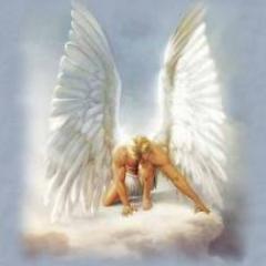 zenparadoxe's profile picture. 