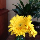 Betty Cox - @1April111 - Twitter