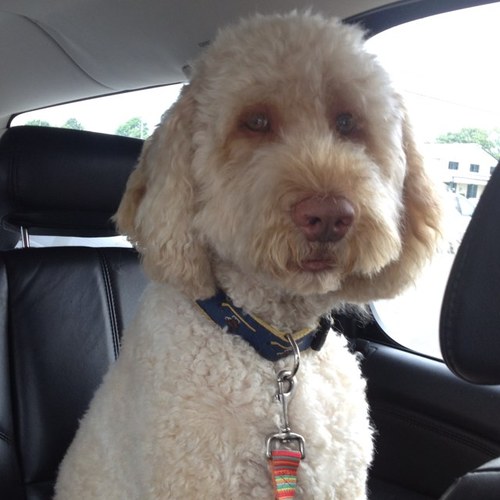 jrudicus's profile picture. 