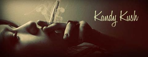 live, love, laugh and stay stoned!