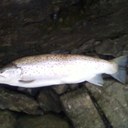 sean hedges - @HedgesSean - Twitter