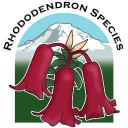 Focusing on rhododendron species since 1964.
