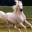AlMoHrah_'s profile image