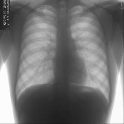 nosenseofself's profile picture. 