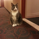 Ernest Poon - @ErnestPoon - Twitter