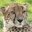 jimfarrell03's profile image