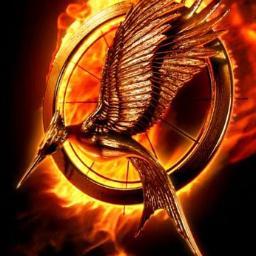 MadgeHGFP's profile picture. Like us on facebook and tell us what you think! 
@www.facebook.com/TheHungerGamesFunPage

May the odds be ever in your favor!