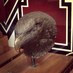 Deidre (Dee) Henne (@maccfo) Twitter profile photo