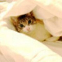 April's Kitch (@aprilskitch) 's Twitter Profile Photo