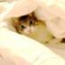 April's Kitch (@aprilskitch) Twitter profile photo April's Kitch (@aprilskitch) Twitter profile photo