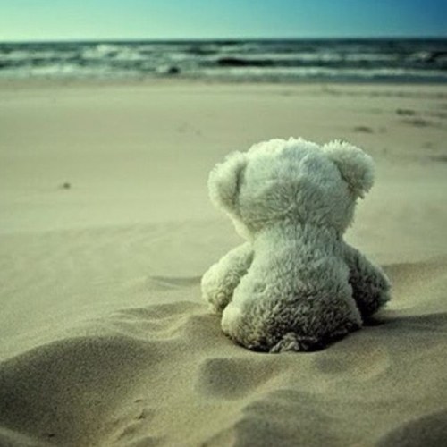 brunnikat's profile picture. 