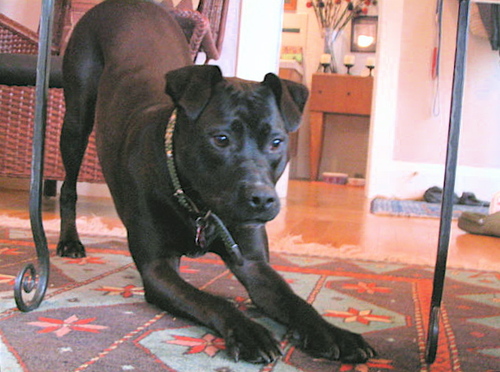 anyadreams's profile picture. 