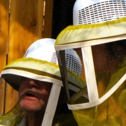 100thBeehive's profile picture. Bee Keepers with a strong desire to Bee The Change ... or at least be part of the change.