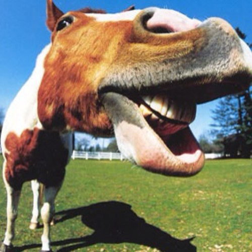 gwillim2006's profile picture. 