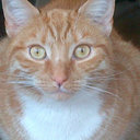 Sophia Saunders - @poppy_loulou - Twitter