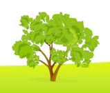 absorbentmind's profile picture. A Montessori Teacher who wants to share ideas and discuss issues with other early years teachers and parents of young children