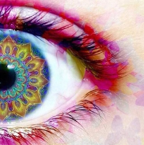 Dlinkwentz's profile picture. FADED || 24 || Van City - Follow for interesting and badass stuff haha. Doing whatever I marijuana since 88' --Smokers unite!--