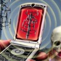 CACellProtect's profile picture. We have merged with Shop Here Get Sick to form a larger action group to work with communities to revisit their local ordinances to better protect the public.