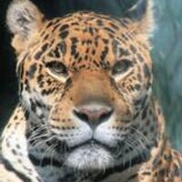 ぐっちぃ (@guccie29) 's Twitter Profile