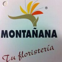 Flores Montañana (@floresmontanana) 's Twitter Profile