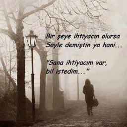 ardaeli62347633's profile picture. 