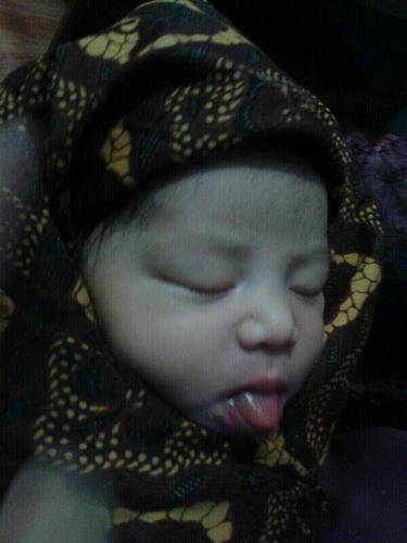 (˘ʃƪ˘) (•ˆ⌣ˆ•)  \(´▽`)/