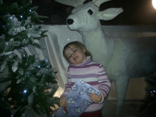 welshkiffy's profile picture. 