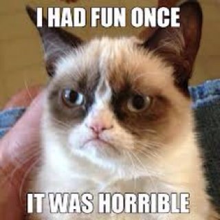 I'm grumpy cat fuck you. Owner of @Crazy_Marvin and @YosemiteTheSam