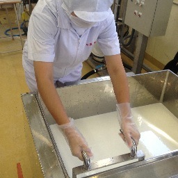 学校の牛から搾った牛乳でアイスクリームやヨーグルト、チーズを作っています