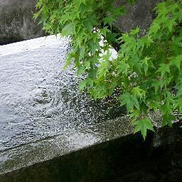 最近健康に気を使うようになって色々チャレンジしてます。なかでもスロージョギングにハマってます。オーバーウェイトの状態を少しでも改善できるよう頑張ってます。