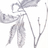 Jeannineartist's profile image