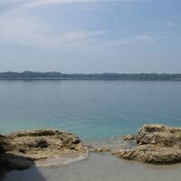 Freddy Leonel (@leo_usac) 's Twitter Profile