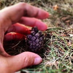 calmontes's profile picture. I tweet mostly in Spanish, about my day to day stuff. Toronto.