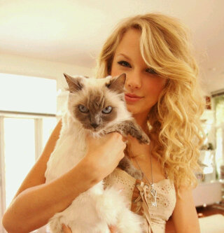 Yes my idol is flawless.We love her Forever&Always.Hate her haters.Mention for followback!