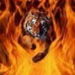 CD, DVDs, drives and burners, on-line marketing, innovations and research of the digital world, data analysis, stock market, horseback riding, Perth