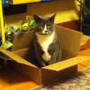 Heather Davenport - @Heather_Diana_ - Twitter