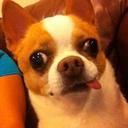 Arnie Williams - @arniewilliams1 - Twitter