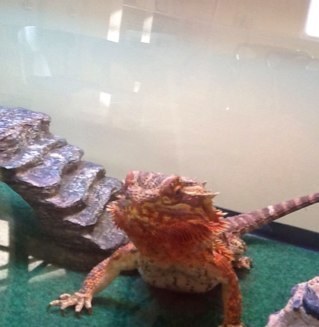 dirtysalad82's profile picture. Dashing in every way