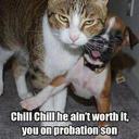 JONATHAN KITCHEN - @JONATHANKITCHE4 - Twitter