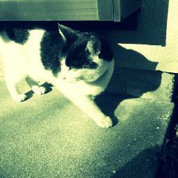 janjunjon24's profile picture. kukuluLIVE等でゲーム配信してます！2023/08/12からスマブラ始めました。
クラウド一筋で頑張ってます！
他はサウナ、野球、筋トレ、ランニング、カラオケ等が好きです！