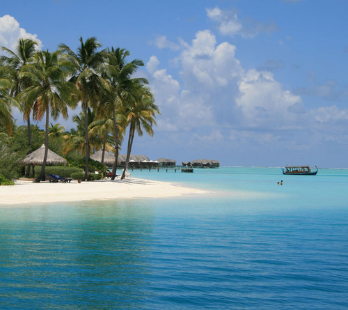 crisbobo123's profile picture. 