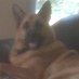 Wayne R Welton (@waynerwelton1) Twitter profile photo Wayne R Welton (@waynerwelton1) Twitter profile photo