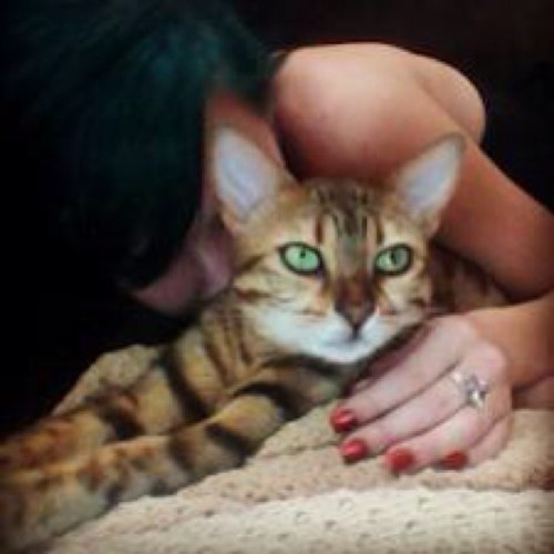 Meow?