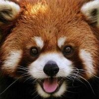 Ｂ級な欲望 (@bkyuyokubou) Twitter profile photo