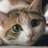 田沢文章のTwitterプロフィール画像