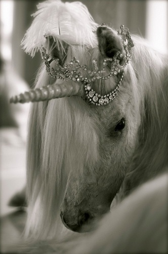 The magic is in the horn.