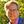 Larry Klayman (@LarryEKlayman) profile picture