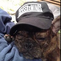 Focused Minds (@focusedxminds) 's Twitter Profile Photo